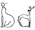 b-d Animal Letters