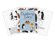 Feathery Tales